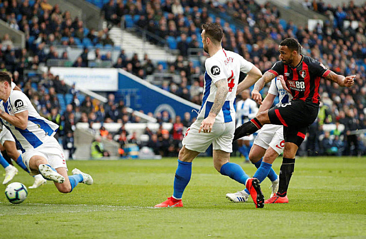 布莱顿主场失利,保级阴云再现的简单介绍 布莱顿主场失利,保级阴云再现的简单介绍